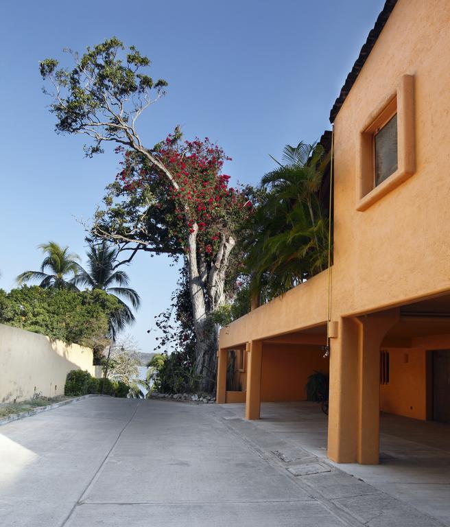 Hotel Casa Don Francisco Ixtapa (Guerrero) Quarto foto